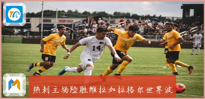 热刺主场险胜维拉加拉格尔世界波助球队脱离降级区